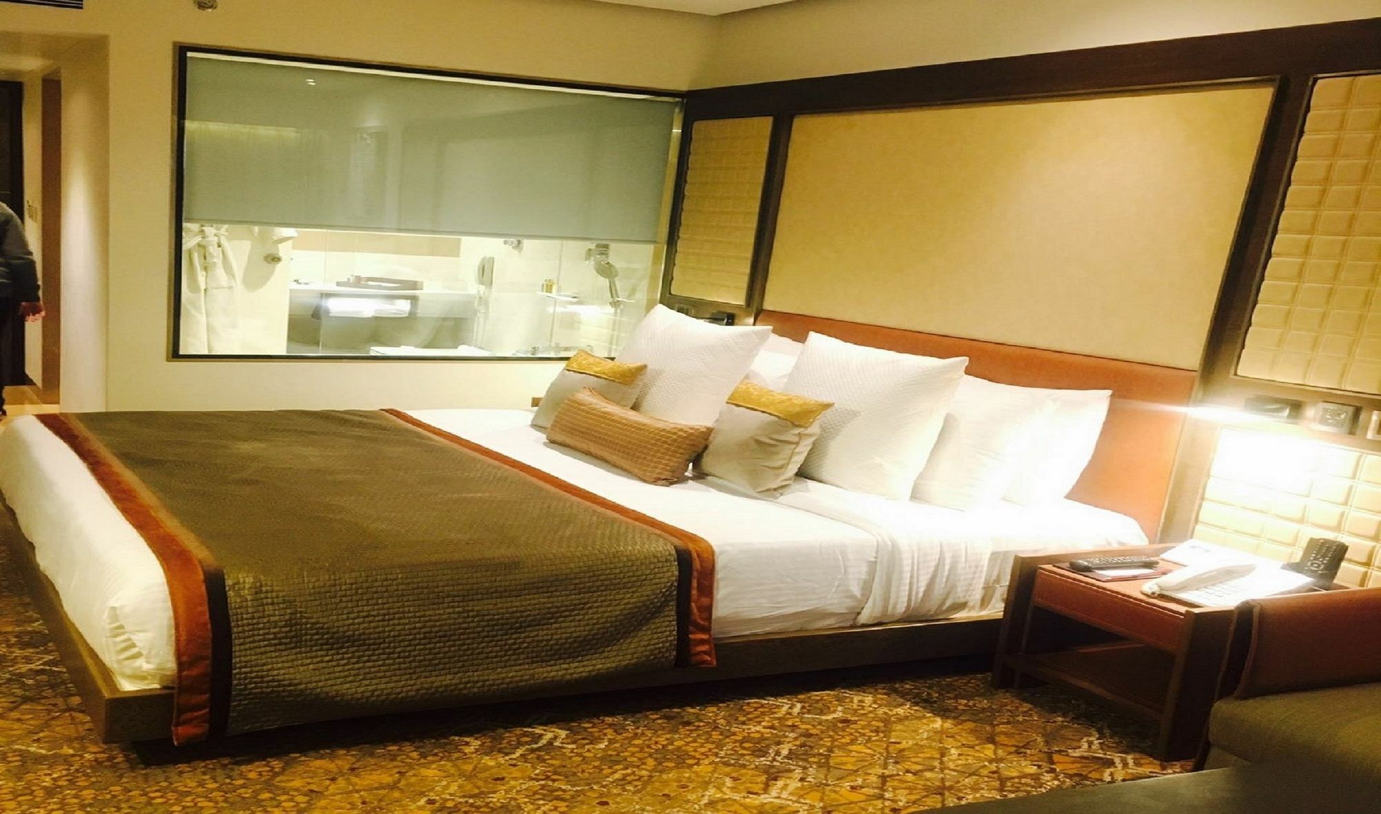 Hotel Sayaji 5*